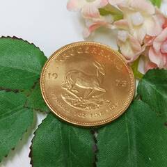 買取品目
