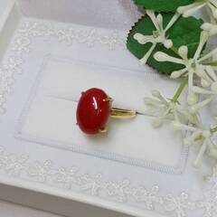 買取品目